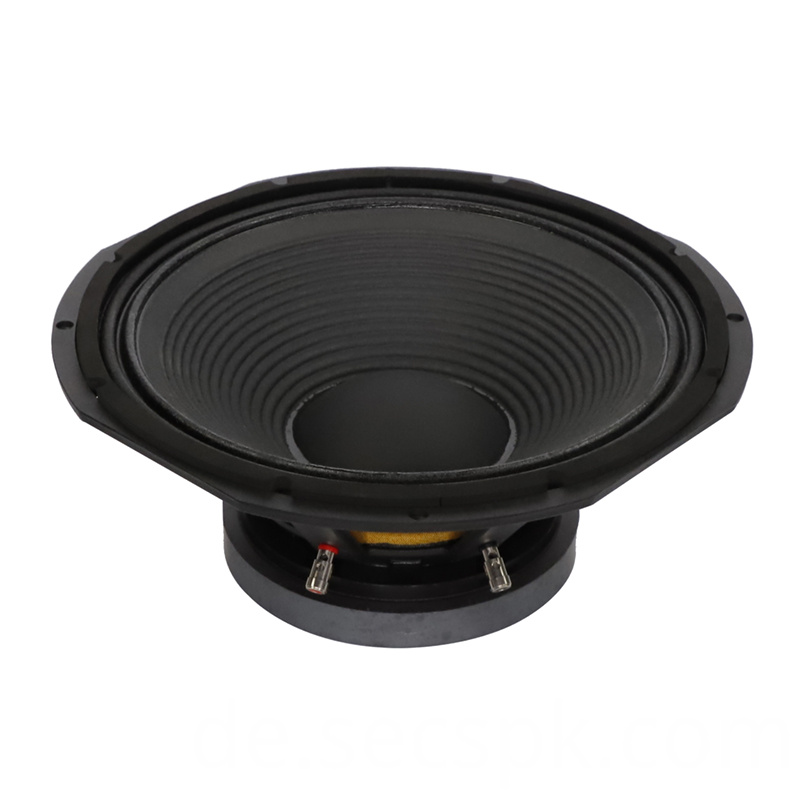 Hochwertiger Audio-PA-Lautsprecher High Quality Audio Pa Speaker